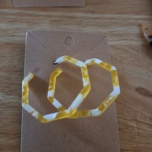 Handcrafted Acrylic post back Hoop Earrings